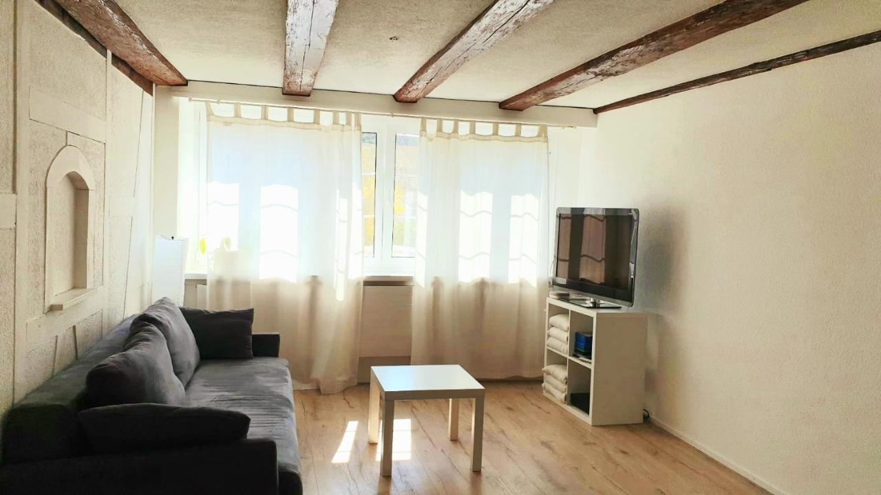 Cozy Apartment Close To Zurich Airport And City Oberglatt Esterno foto