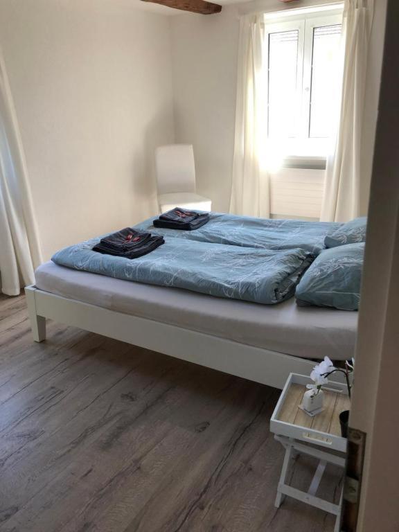 Cozy Apartment Close To Zurich Airport And City Oberglatt Esterno foto