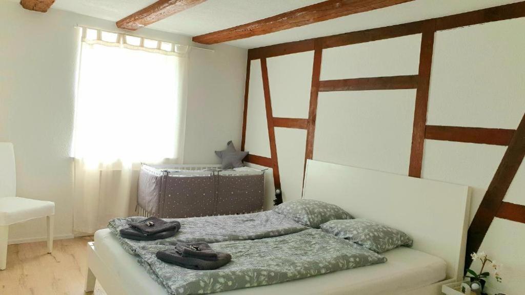 Cozy Apartment Close To Zurich Airport And City Oberglatt Esterno foto