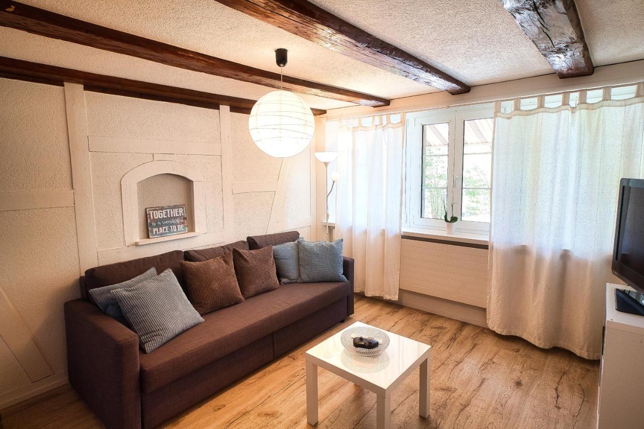 Cozy Apartment Close To Zurich Airport And City Oberglatt Esterno foto