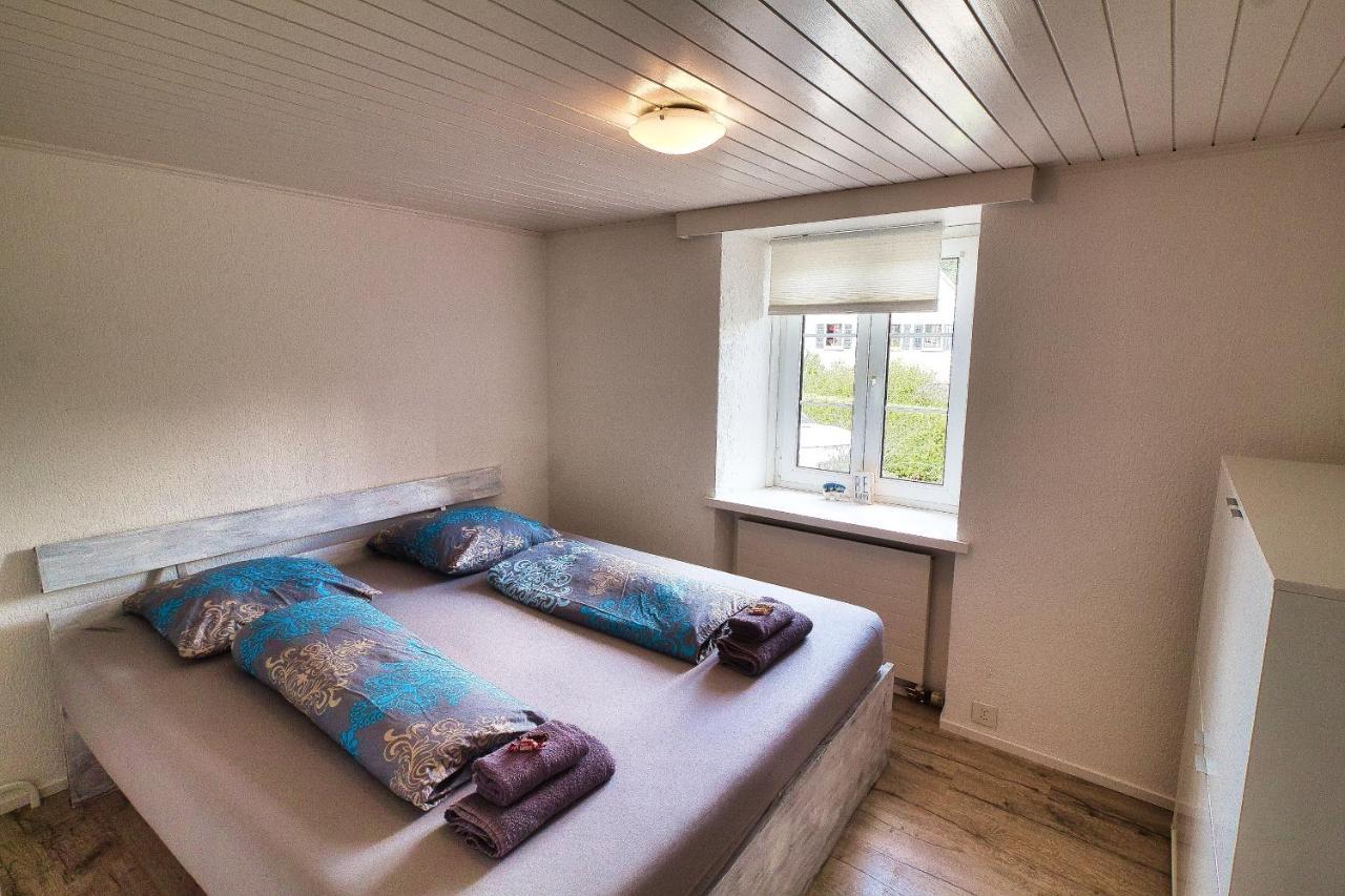 Cozy Apartment Close To Zurich Airport And City Oberglatt Esterno foto