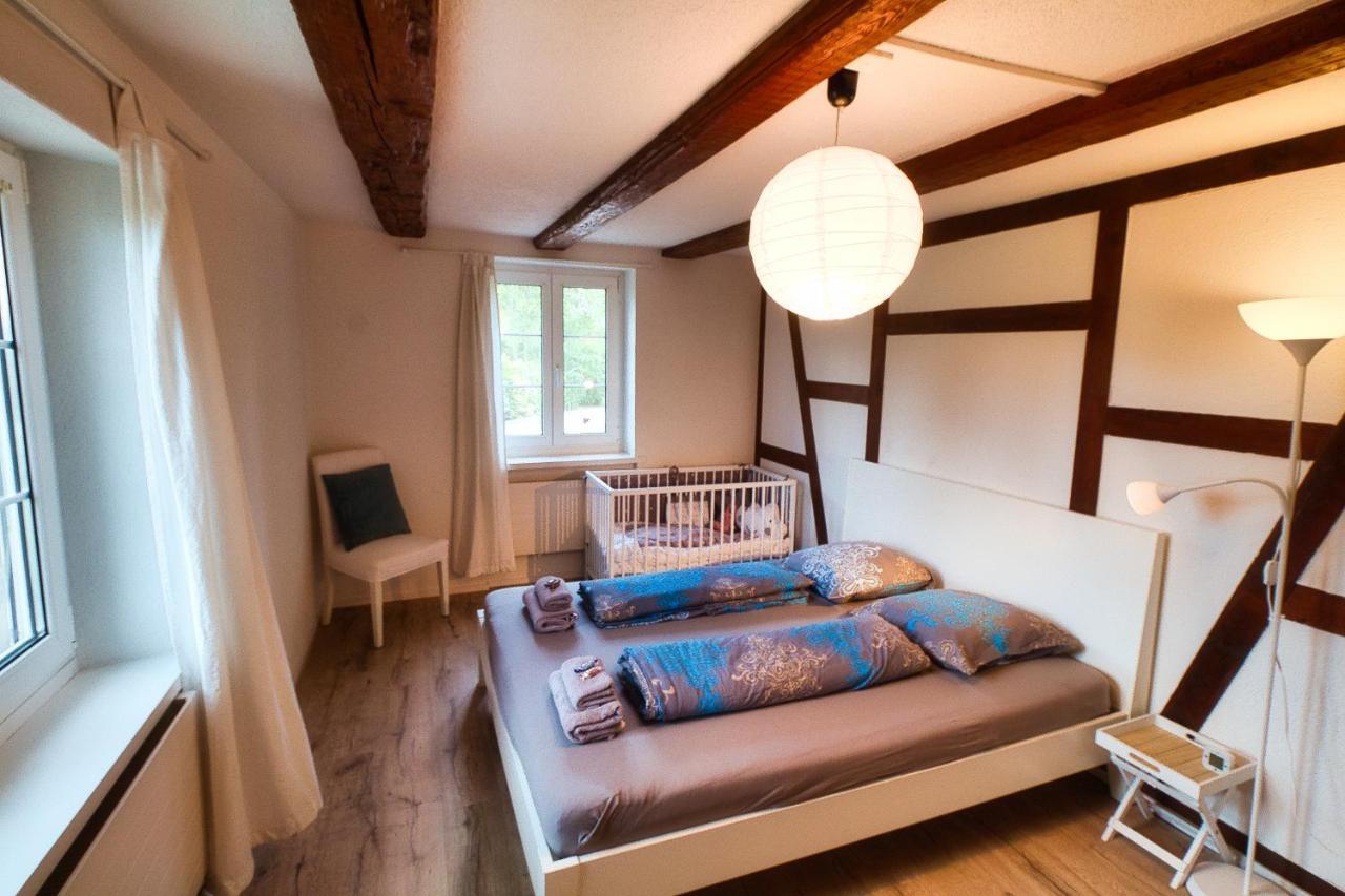 Cozy Apartment Close To Zurich Airport And City Oberglatt Esterno foto