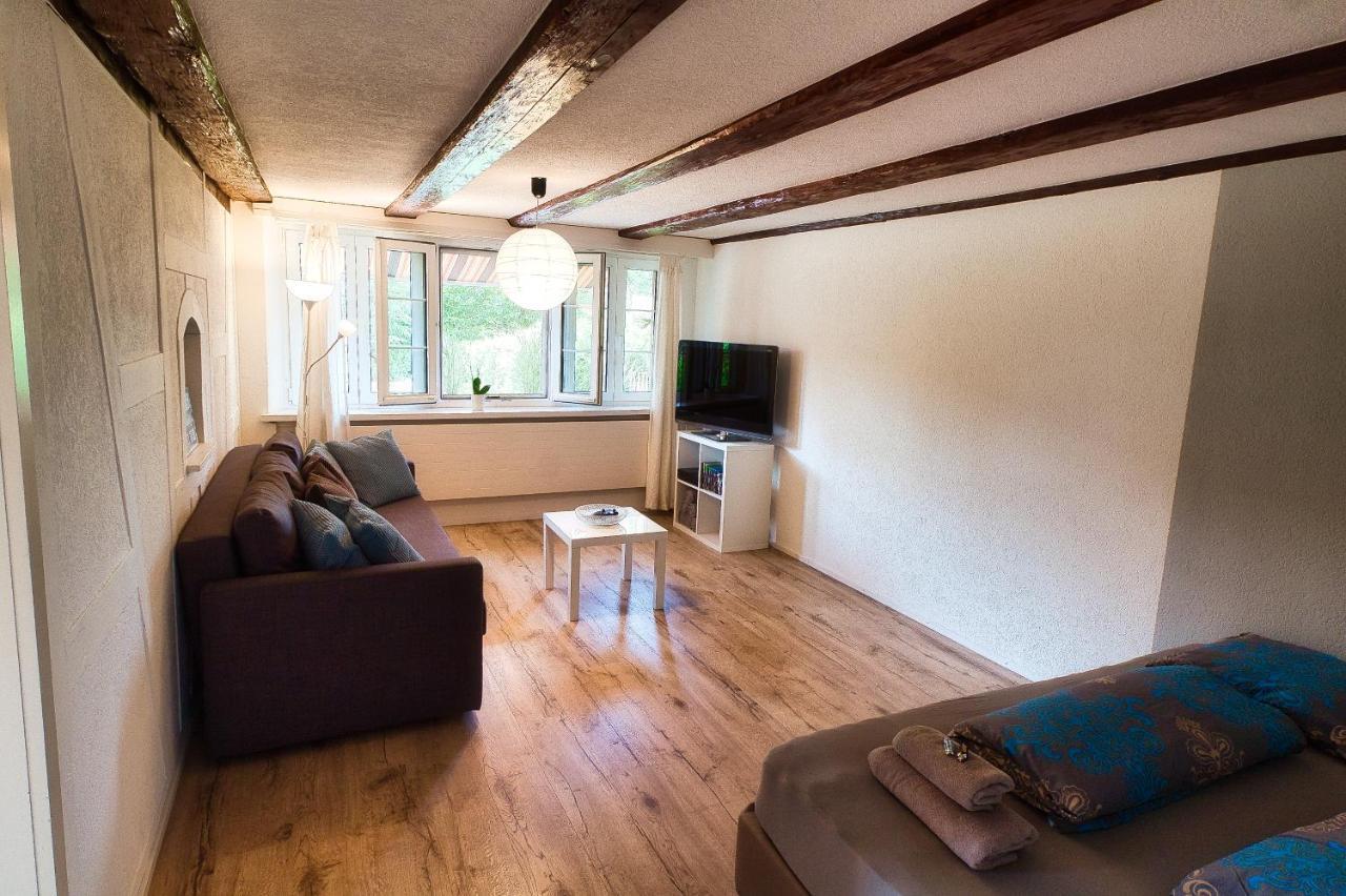 Cozy Apartment Close To Zurich Airport And City Oberglatt Esterno foto