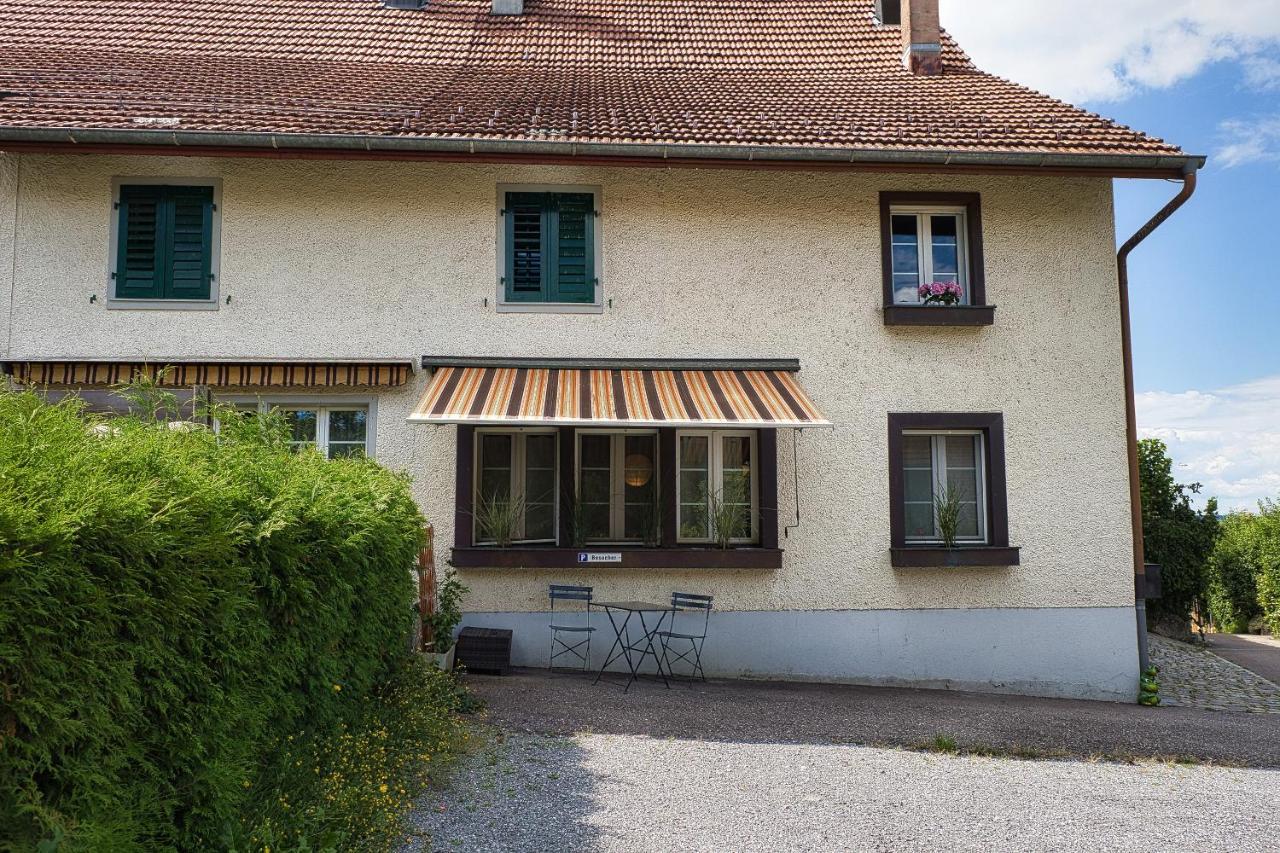 Cozy Apartment Close To Zurich Airport And City Oberglatt Esterno foto