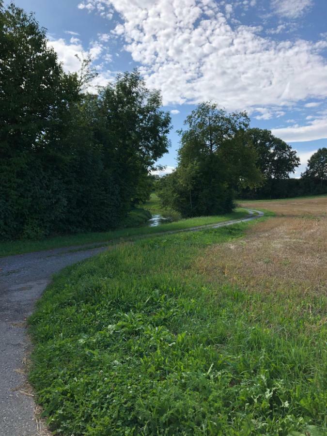 Cozy Apartment Close To Zurich Airport And City Oberglatt Esterno foto